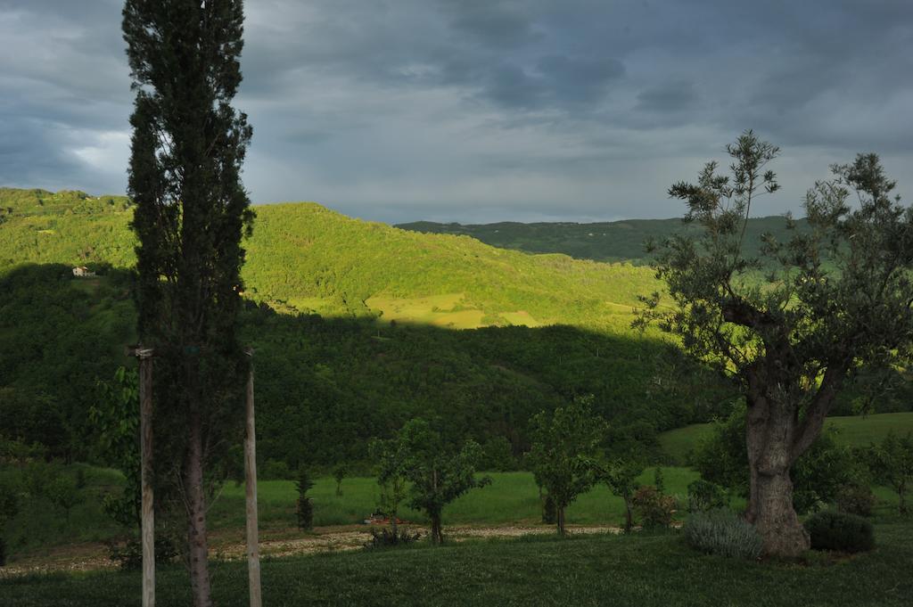 Agriturismo Paradiso 44 Assis Exterior foto