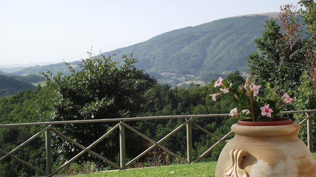 Agriturismo Paradiso 44 Assis Exterior foto