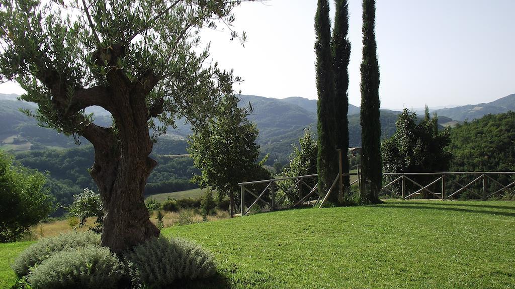 Agriturismo Paradiso 44 Assis Exterior foto