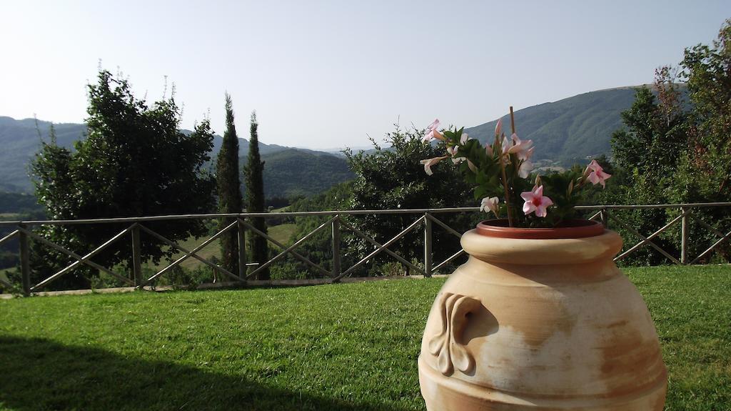 Agriturismo Paradiso 44 Assis Exterior foto