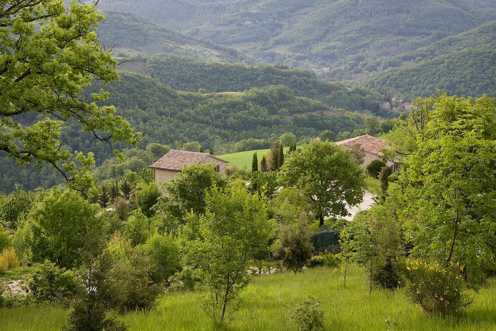 Agriturismo Paradiso 44 Assis Exterior foto